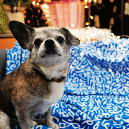 Holiday Ultra-Soft Throw Blanket: Letters in Blue