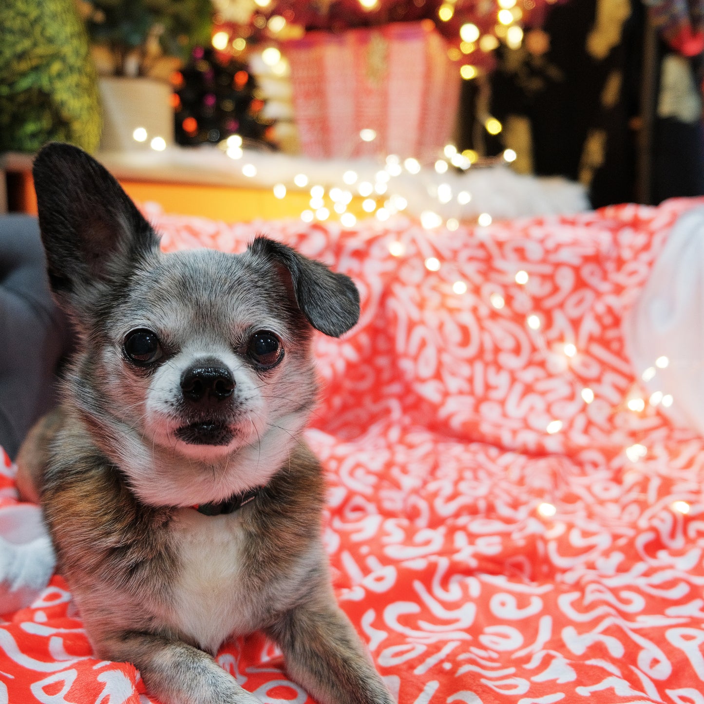 Holiday Ultra-Soft Throw Blanket: Letters in Red