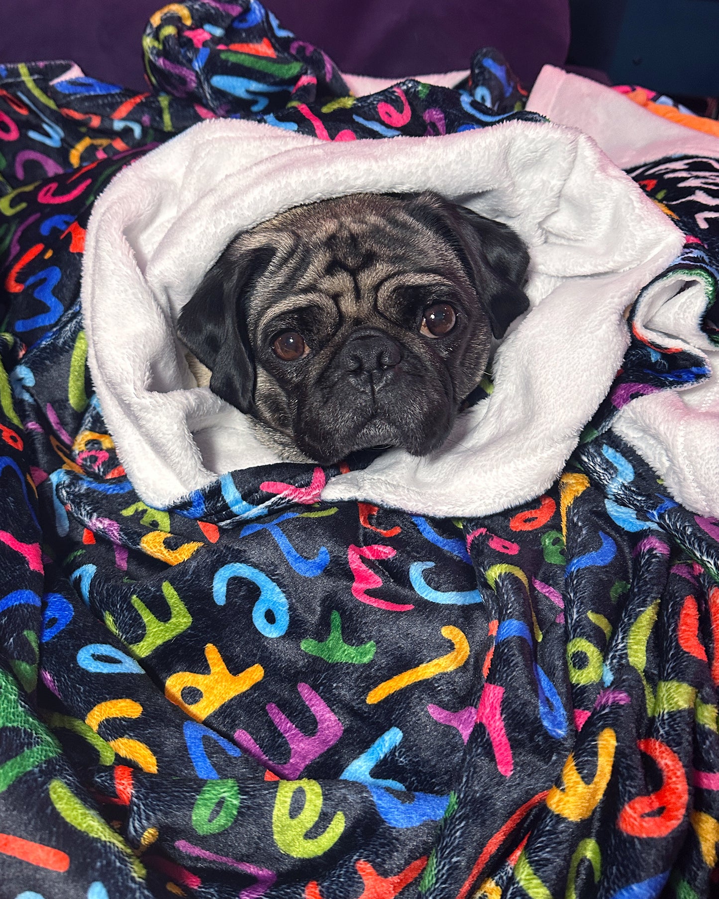 'Let Me Repeat Myself' Signature Letter Pattern Ultra-Soft Throw Blanket