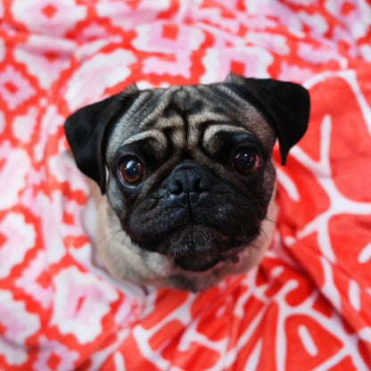LOVE Bubbly Lettered Valentine Throw Blanket